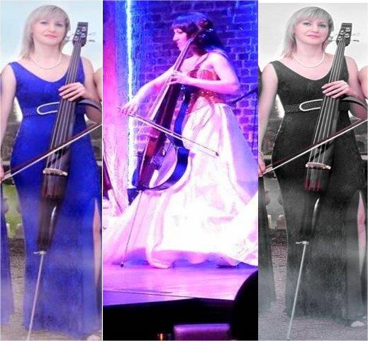 cello artists chandigarh